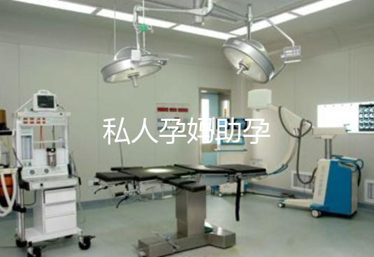 私人孕妈助孕