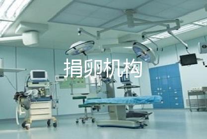 捐卵机构